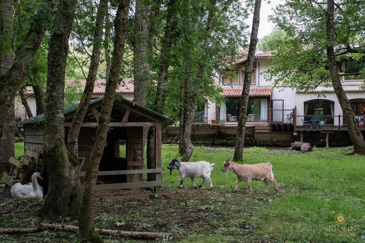 Moulin Du Val De Seugne Hotel 4*